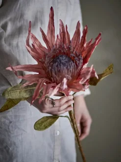 Bloomingville Kunstig blomst - Protea stilk H 100 cm - Polyester - Lyserød