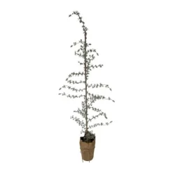 Casa Christmas Kunstigt Cedertræ m. LED-lys H 120 cm - Polyethylen - Grøn