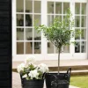 CASA Living Kurv Ø 28 x H 25 cm - Polyethylen - Sort