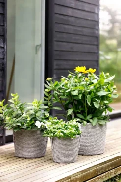 CASA Living Kurv Ø 23 x H 22 cm - Polyethylen - Grå