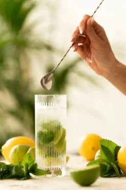Cocktail Club Barske L 30 cm - Rustfrit stål