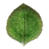 Costa Nova Riviera Asiet - Hortensiablad H 3,2 x B 15 x L 17 cm - Stentøj - Grøn