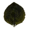 Costa Nova Riviera Skål H 3 x B 15 x L 17 cm - Keramik - Mørkegrøn/sort