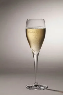 Daniel Moreau Champagne Noir Blanc Les Crinquette 75 cl - 11,3% - Tør og fyldig