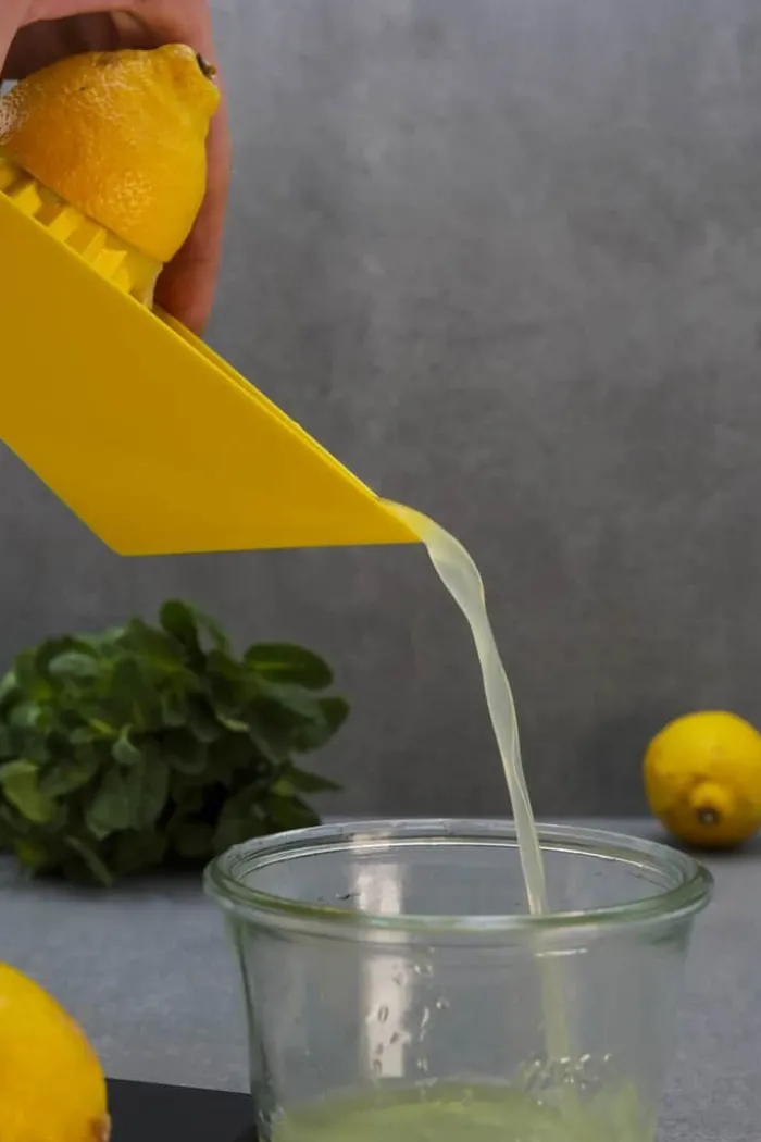 Endeavour Citruspresser PLA bioplast - Gul