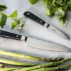 Endeavour Discovery PRO Knivsæt - 2 dele L 8,5/15 cm - Damaskusstål/pakkatræ - Sort