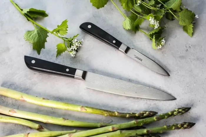 Endeavour Discovery PRO Knivsæt - 2 dele L 8,5/15 cm - Damaskusstål/pakkatræ - Sort