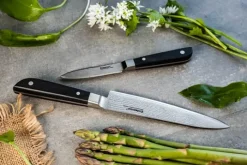 Endeavour Discovery PRO Knivsæt - 2 dele L 8,5/15 cm - Damaskusstål/pakkatræ - Sort