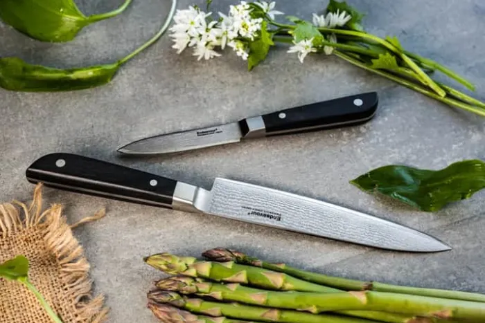 Endeavour Discovery PRO Knivsæt - 2 dele L 8,5/15 cm - Damaskusstål/pakkatræ - Sort