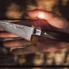 Endeavour Honesuki Kniv L 13 cm - Damaskusstål