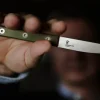 Endeavour Resolution Urtekniv L 8,5 cm - Rustfrit stål - Grøn