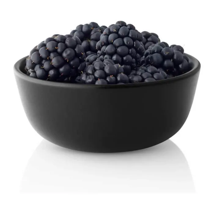 Eva Solo Nordic Kitchen Skål Ø 10 cm - Stentøj - Sort