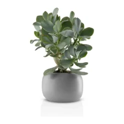 Eva Solo Stone Urtepotte Ø 16 cm - Keramik - Grå