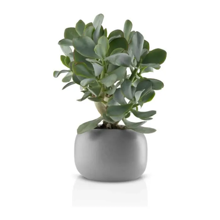 Eva Solo Stone Urtepotte Ø 16 cm - Keramik - Grå