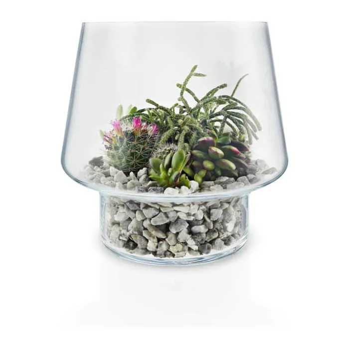 Eva Solo Sukkulent Vase Ø 21 cm - Glas