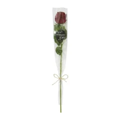 everbloom Kunstig Rose H 66 cm - Kunststof - Rød