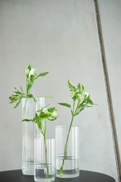 Gus Rill Glasvase Ø 10 x H 25 cm - Glas - Klar