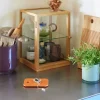 Hübsch Poetic Udstillingsmontre H 42 x B 30 x L 30 cm - Glas/egetræ - Natur