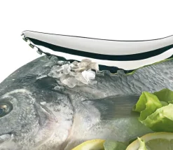Küchenprofi Fiskeskælskraber L 19 cm - Rustfrit stål