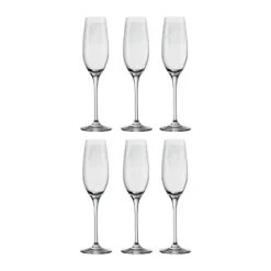 Leonardo Champagneglas - 6 stk. 20 cl - Glas - Klar