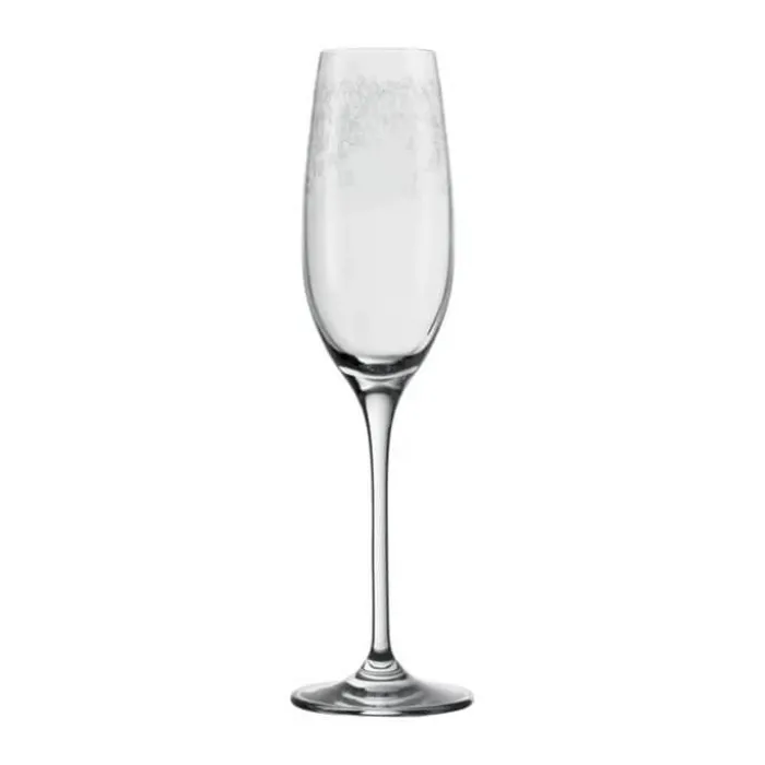 Leonardo Champagneglas - 6 stk. 20 cl - Glas - Klar