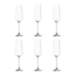 Leonardo Puccini Champagneglas - 6 stk. 28 cl - Glas - Klar