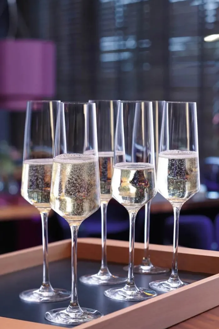 Leonardo Puccini Champagneglas - 6 stk. 28 cl - Glas - Klar