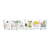 Moomin Arabia Moomin x Iittala Drikkeglas - Havefest 22 cl - Glas - Gul
