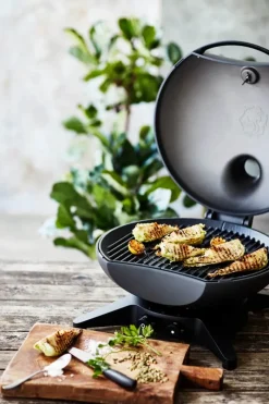 Morsø Forno Medio Gasgrill 2 brændere - 2 års garanti
