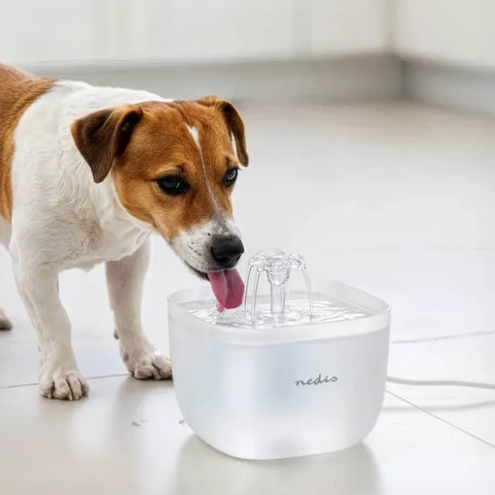Nedis Drikkefontæne 2 liter - Plastik - Hvid