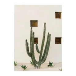 Poster&Frame Plakat - Cabo cactus B 21 x L 29,7 cm - Papir