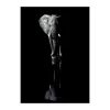 Poster&Frame Plakat - Elephant B 50 x L 70 cm- Papir - Sort