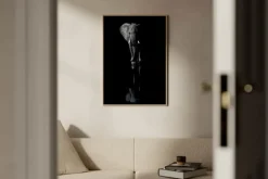 Poster&Frame Plakat - Elephant B 50 x L 70 cm- Papir - Sort
