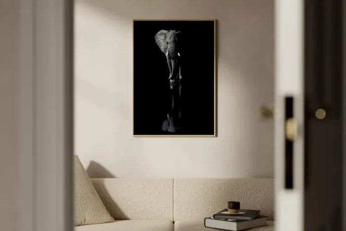 Poster&Frame Plakat - Elephant B 50 x L 70 cm- Papir - Sort