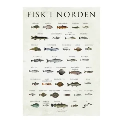 Poster&Frame plakat - Fisk i Norden B 30 x L 40 cm - Papir