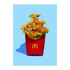 Poster&Frame plakat - Flower fries B 70 x L 100 cm - Papir - Blå/rød