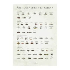 Poster&Frame plakat - Årstidernes fisk og skaldyr B 50 x L 70 cm - Papir