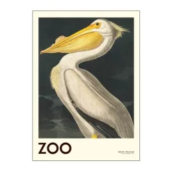 Poster&Frame Plakat - White pelican B 30 x L 40 cm - Papir - Hvid/sort/gul