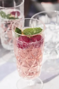 Sagaform Picnic Juni Glas på Fod - 4 stk. 20 cl - Akrylplast - Klar