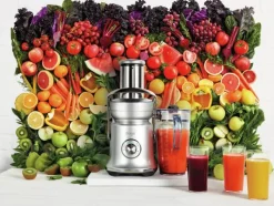 Sage Nutri Cold XL Juicer 5 hastigheder - Med 2 liters kande - Sølvfarvet