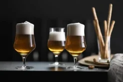 Schott Zwiesel Beer Basic Craft Ølglas - 4 stk. 30 cl - Glas - Klar