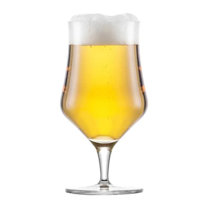 Schott Zwiesel Beer Basic Craft Ølglas - 4 stk. 30 cl - Glas - Klar