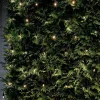 Sirius Tech-Line Lysnet B 300 x L 300 cm - 196 LED lys - Sort