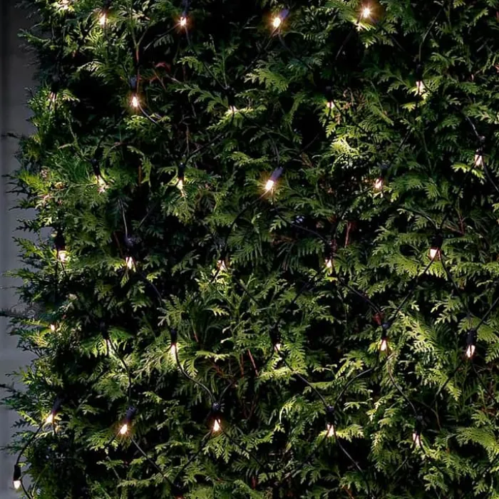Sirius Tech-Line Lysnet B 300 x L 300 cm - 196 LED lys - Sort