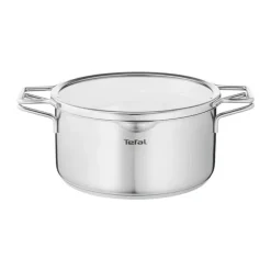 Tefal Nordica Gryde m. glaslåg 4,8 liter - Rustfrit stål